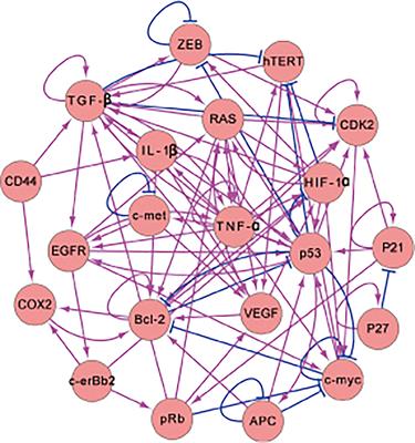 Quantification of the Landscape for Revealing the Underlying Mechanism of Intestinal-Type Gastric Cancer